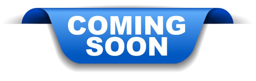 DELSOL ENGINEERING INDIA PVT. LTD.